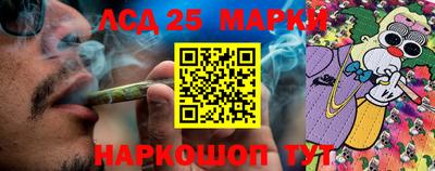 ГАЛЛЮЦИНОГЕННЫЕ ГРИБЫ Кандалакша