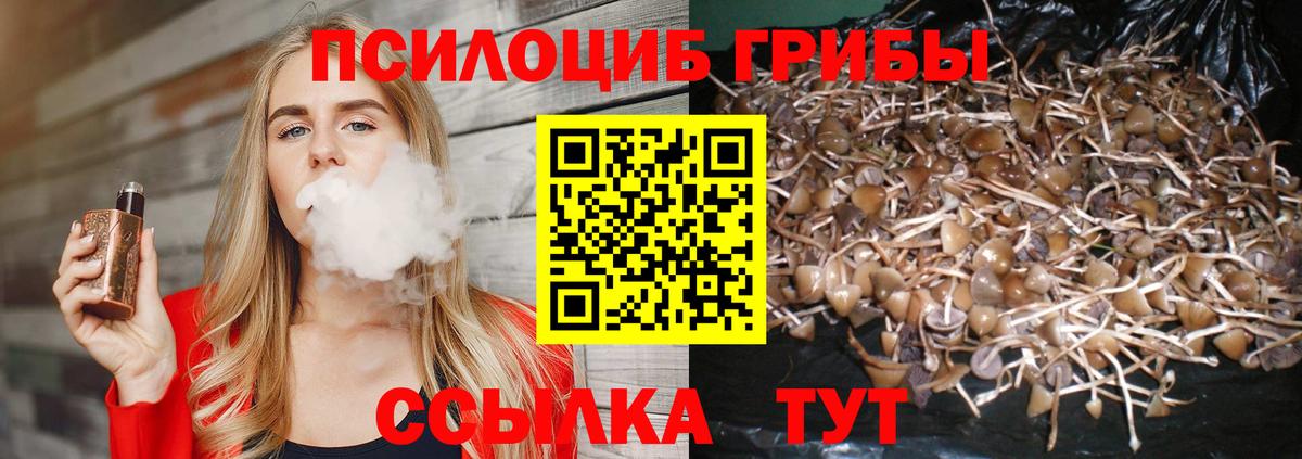 Псилоцибиновые грибы GOLDEN TEACHER Ярославль
