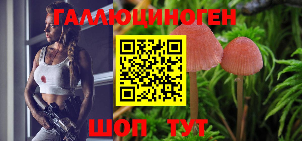 Ярославль  Галлюциногенные грибы Magic Shrooms  Галлюциногенные грибы Cubensis  Вход с VPN 